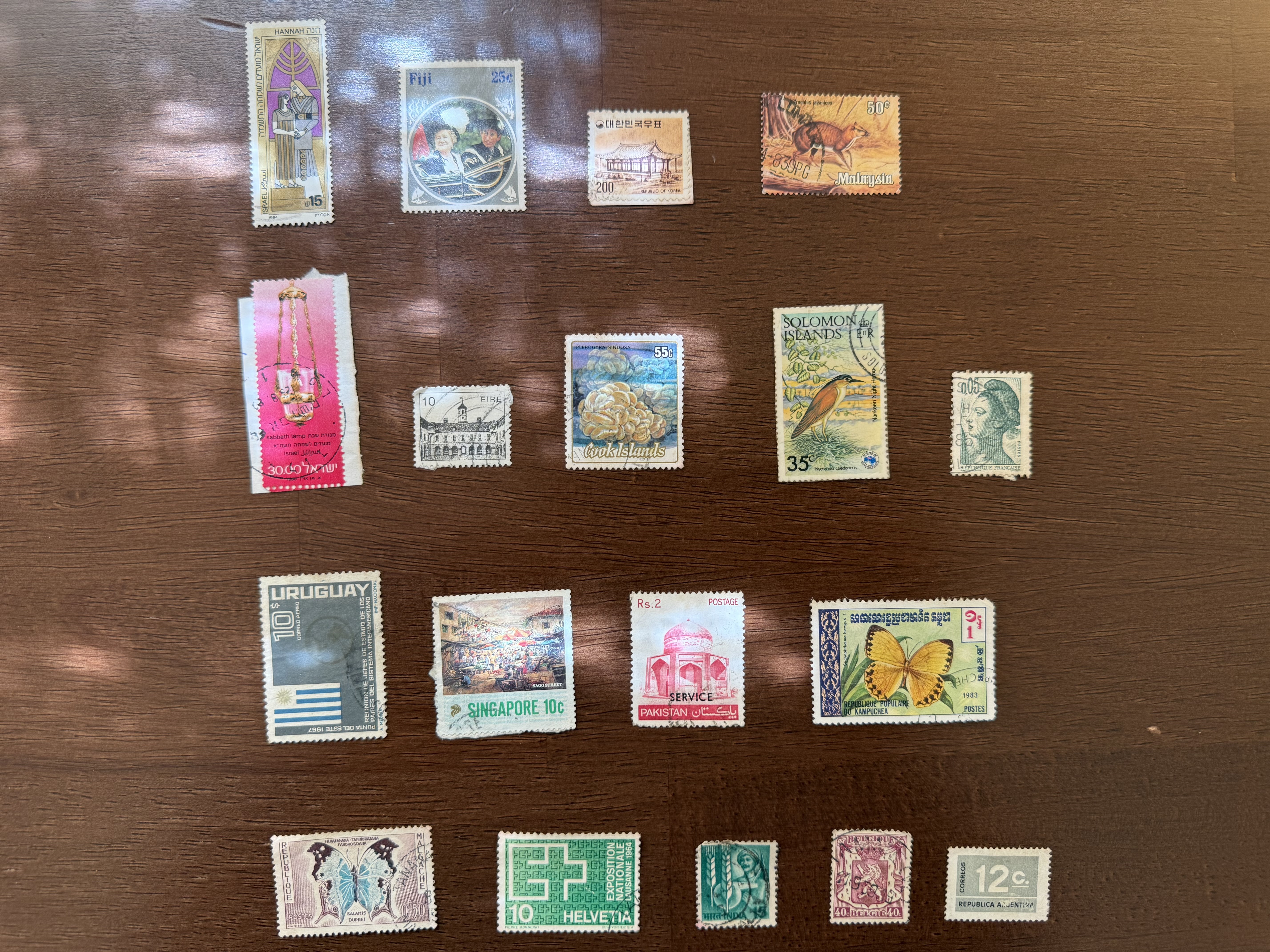 Collection 6